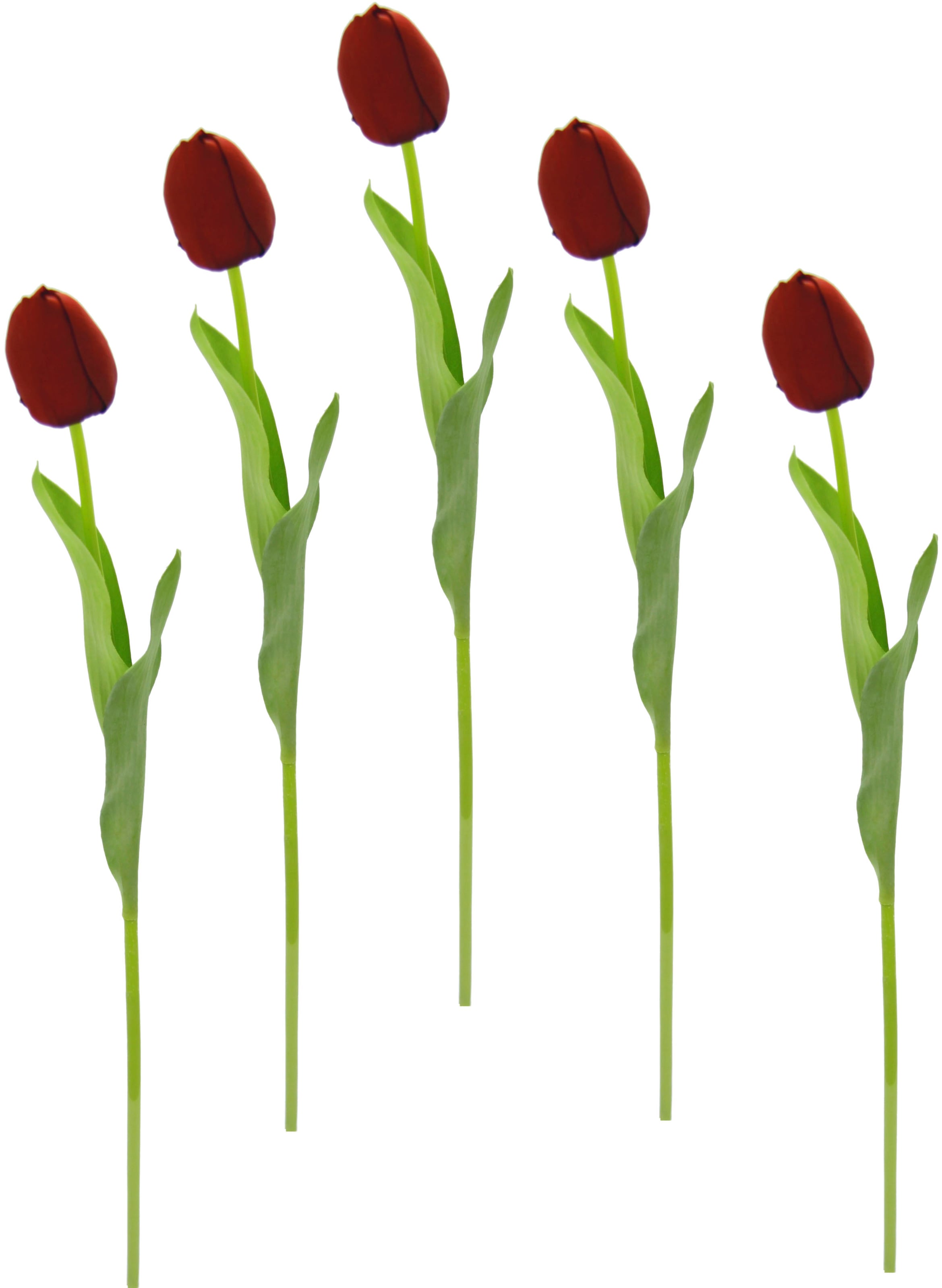 I.GE.A. Kunstblume »Real Tulpenknospen, OTTO online Set Stielblume 5er künstliche Tulpen«, (5 St.), Touch Kunstblumen, bei