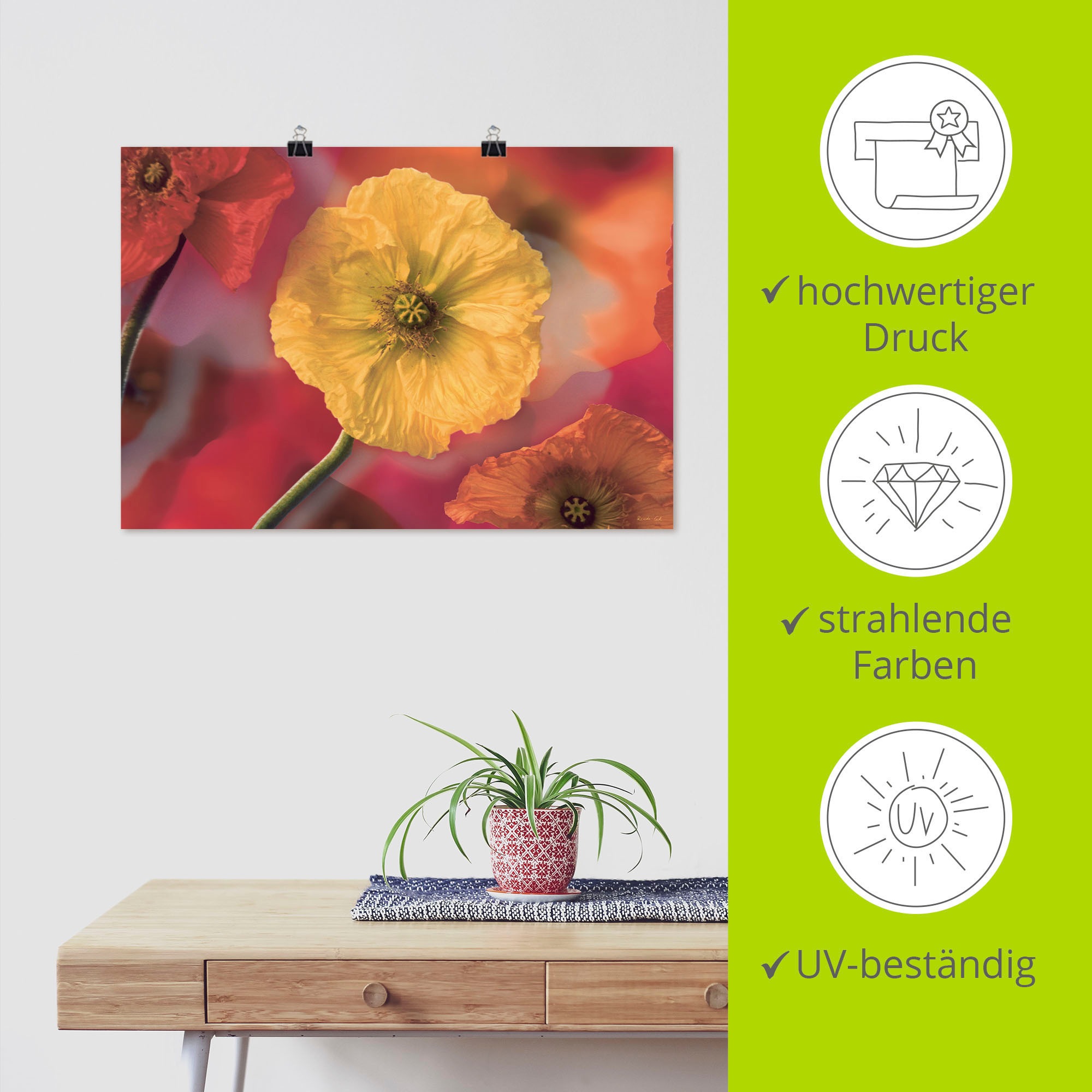 Artland Wandbild »Fotokollage versch. Größen online Poster als Wandaufkleber Blumenbilder, bei oder OTTO (1 Mohnblumen«, Leinwandbild, St.), in kaufen