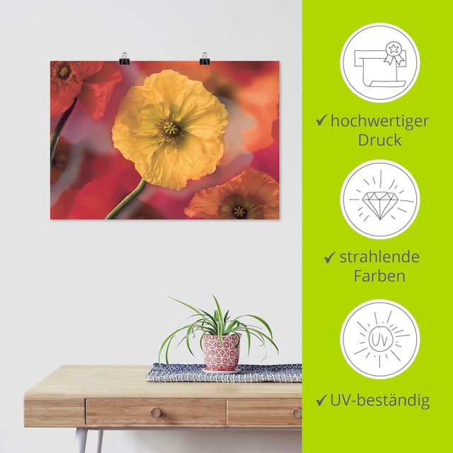 Artland Wandbild »Fotokollage Mohnblumen«, Blumenbilder, (1 St.), als  Leinwandbild, Wandaufkleber oder Poster in versch. Größen kaufen online bei  OTTO