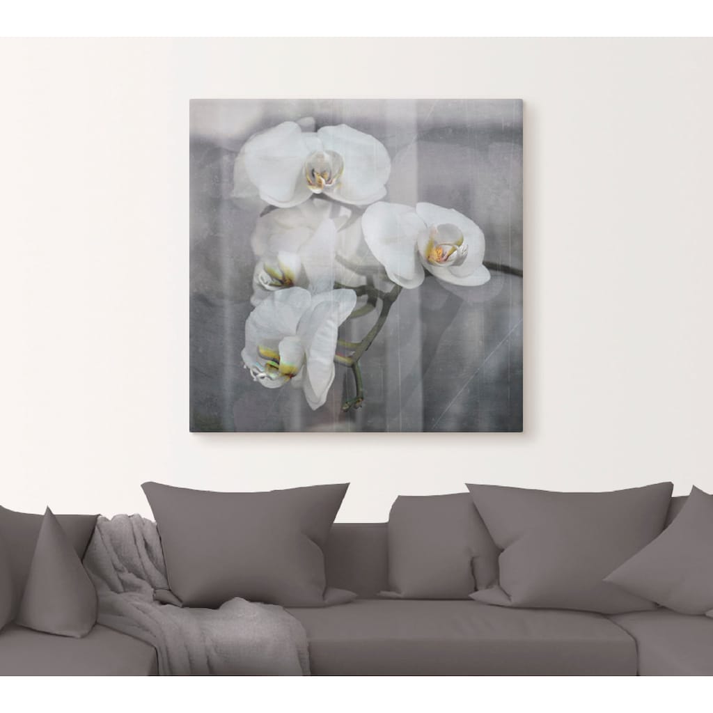 Artland Wandbild »Weisse Orchideen - white Orchid«, Blumen, (1 St.)