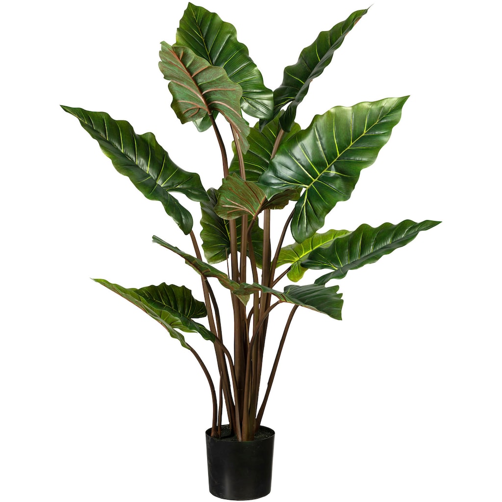 Creativ green Künstliche Zimmerpflanze »Taropflanze«
