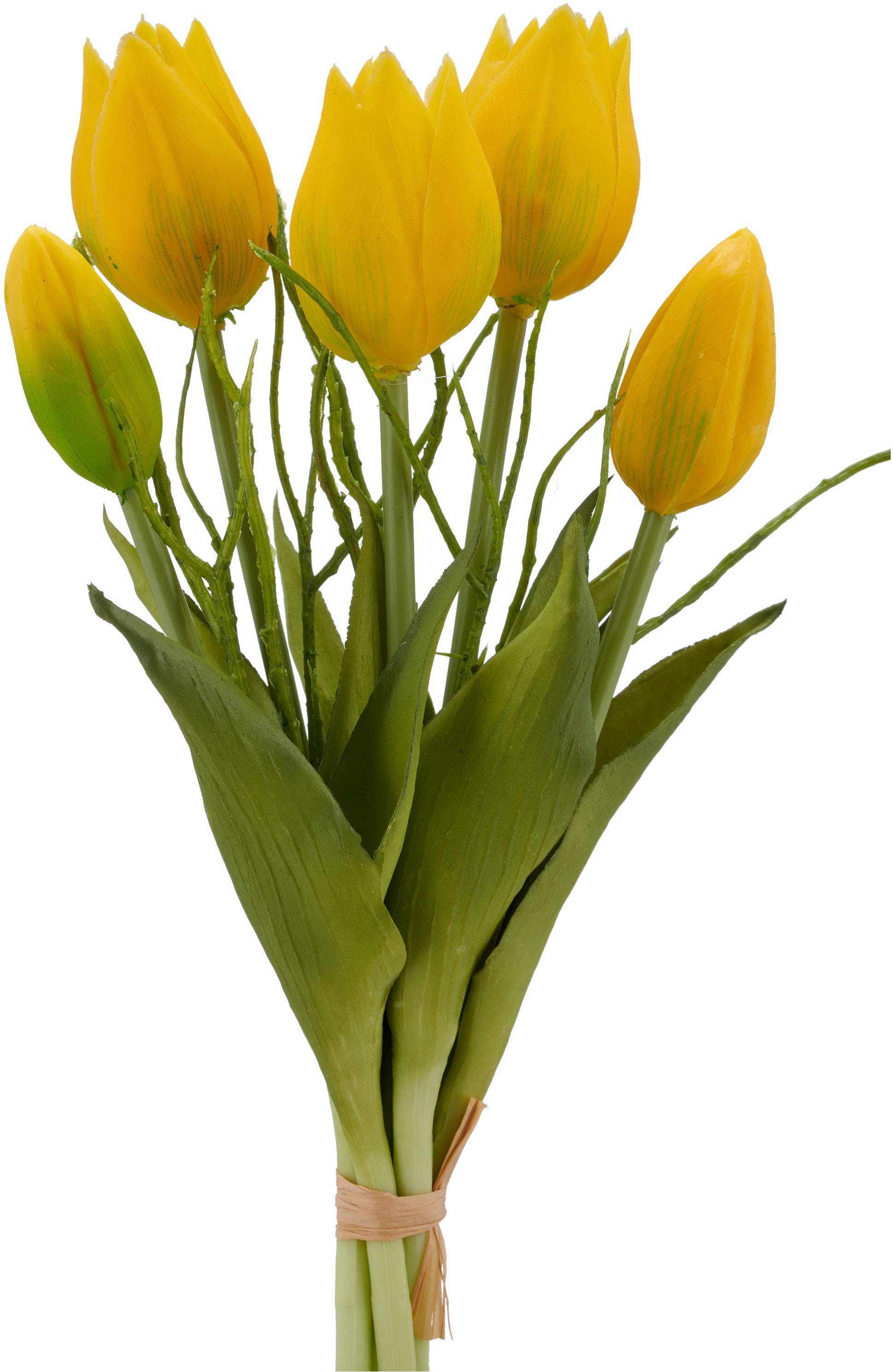 Creativ green Kunsttulpe »Tulpenbund« mit Zweigen