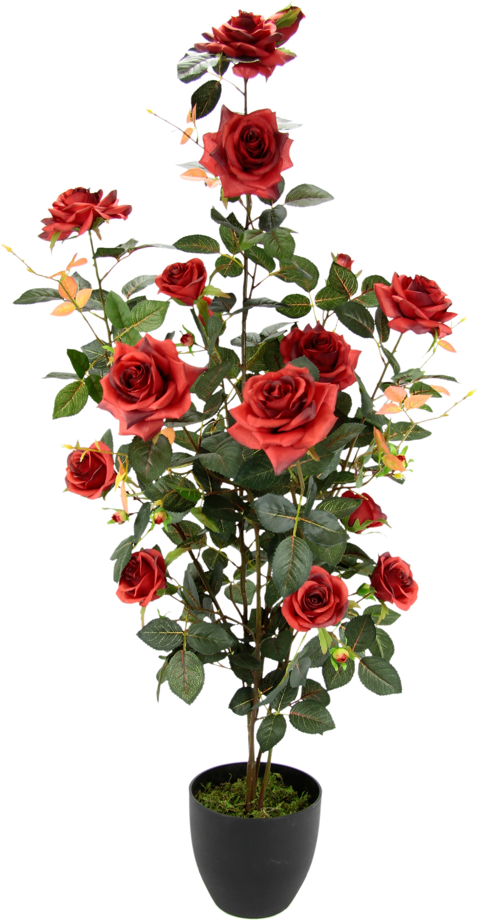 I.GE.A. Kunstbaum »Rosenbusch im Kunstpflanzen Rosenstrauch kaufen (1 Deko Topf«, Hochzeit bei online OTTO St.), Kunstrosen
