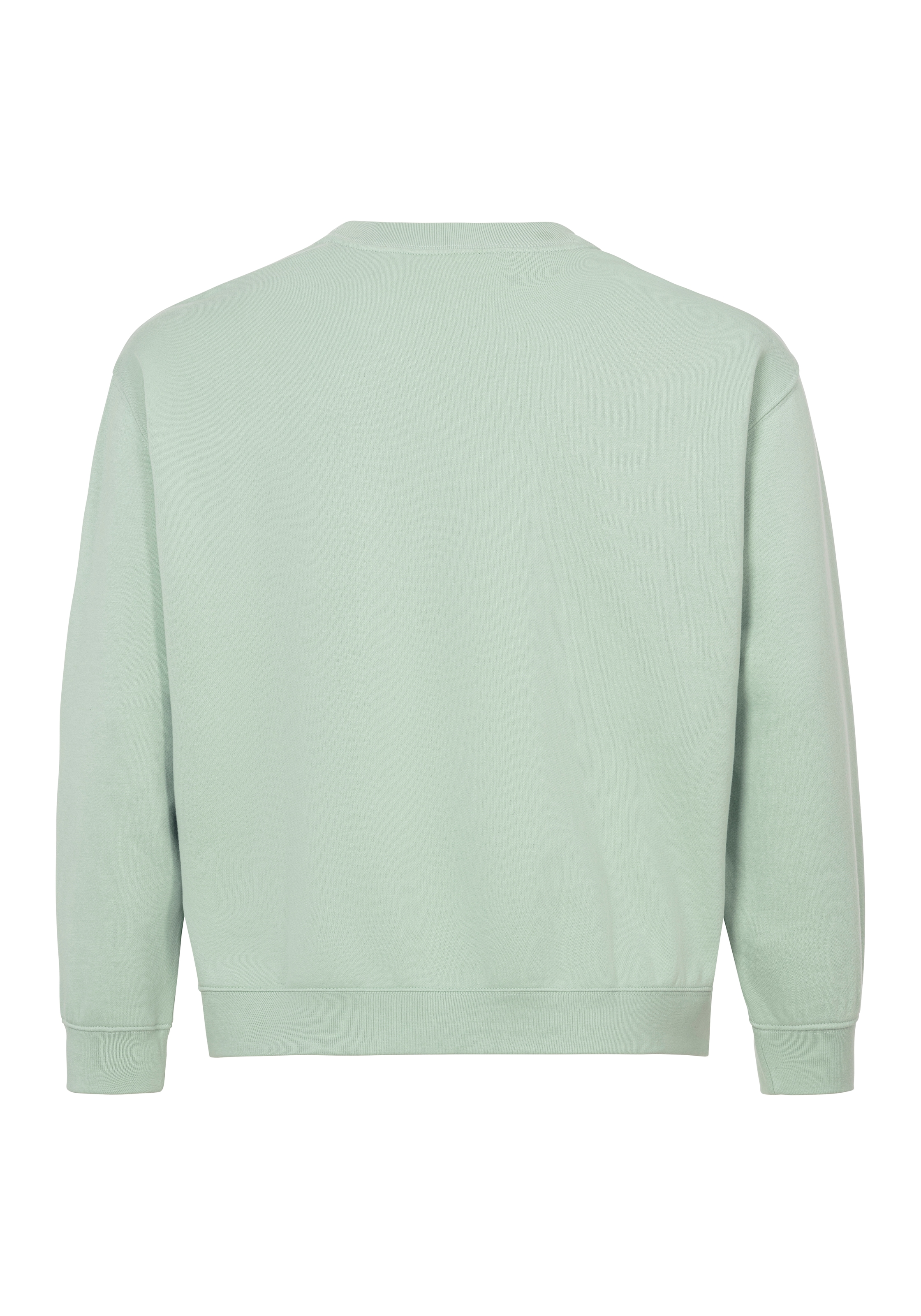 Levi's® Plus Sweatshirt »PL GR EVERYDAY CREW«