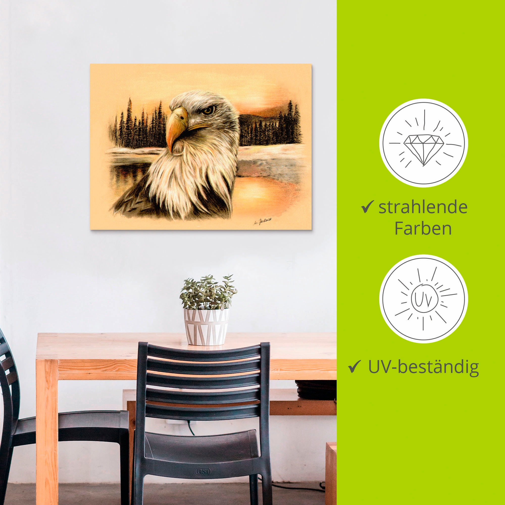 Artland Wandbild »Weißkopfseeadler handgemalt«, Vögel, (1 St.), als Alubild, Outdoorbild, Wandaufkleber in verschied. Größen