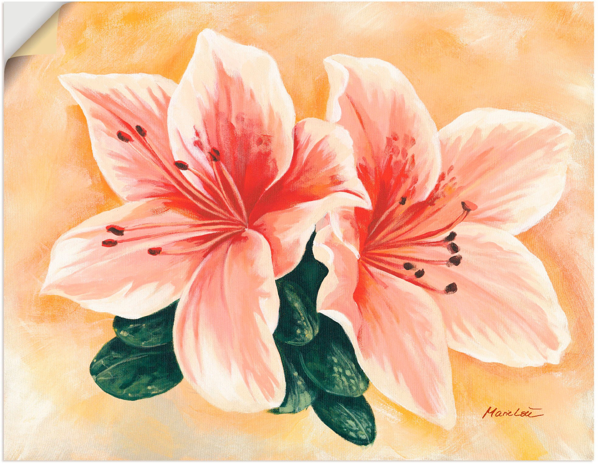 Artland Wandbild »lachsfarbene Lilien«, Blumen, (1 St.), in vielen Größen & Produktarten - Alubild / Outdoorbild für den Außenbereich, Leinwandbild, Poster, Wandaufkleber / Wandtattoo auch für Badezimmer geeignet