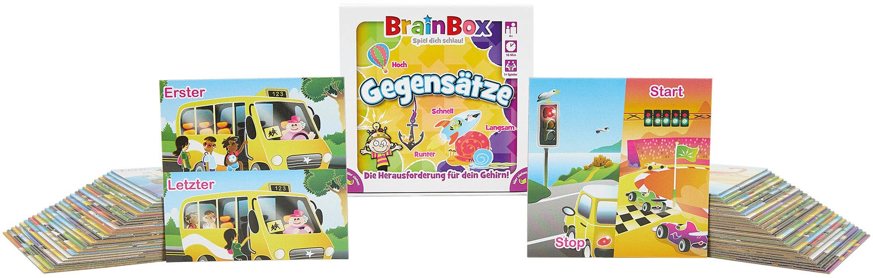 BrainBox Spiel »Gegensätze«