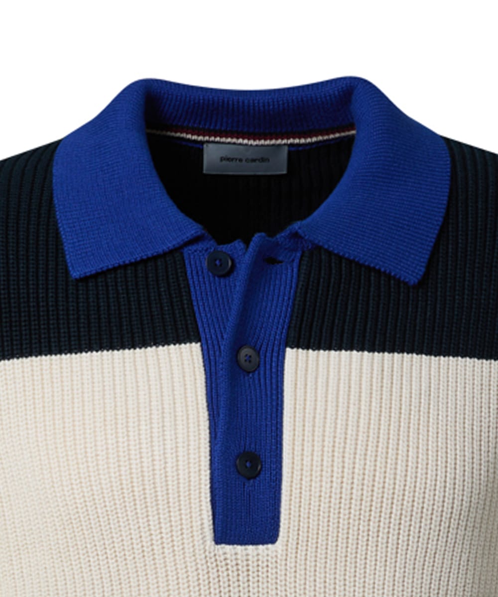 Pierre Cardin Strickpullover, mit Polokragen