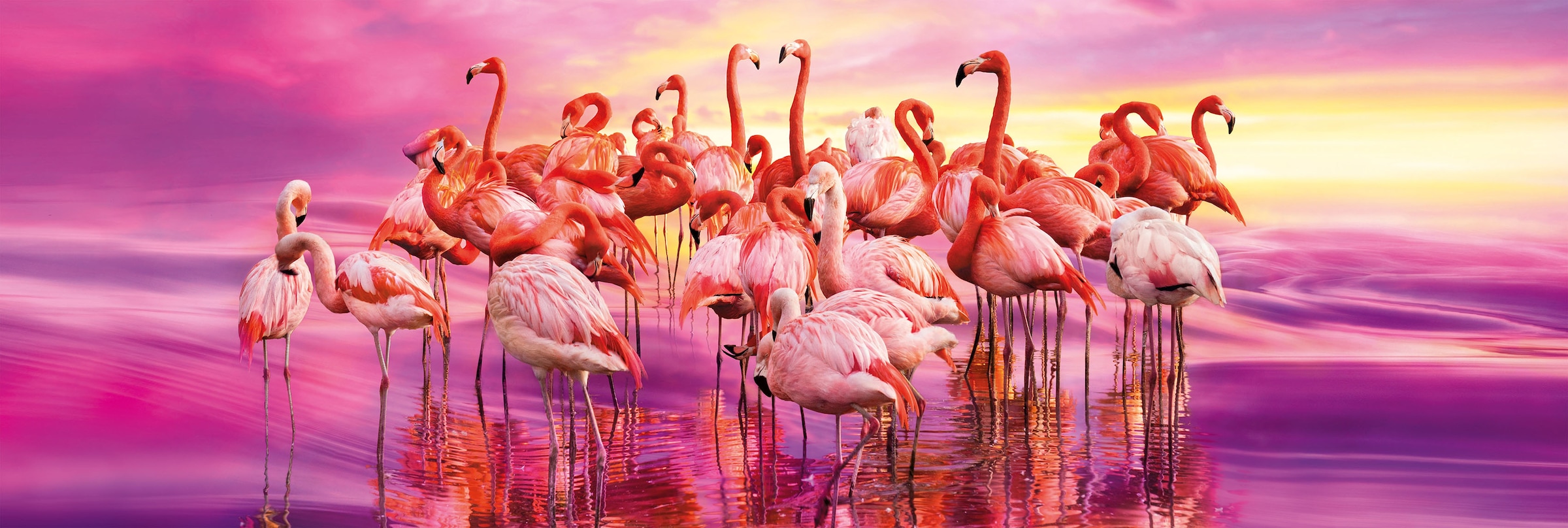 Clementoni® Puzzle »Panorama High Quality Collection, Tanz der Flamingos«, Made in Europe
