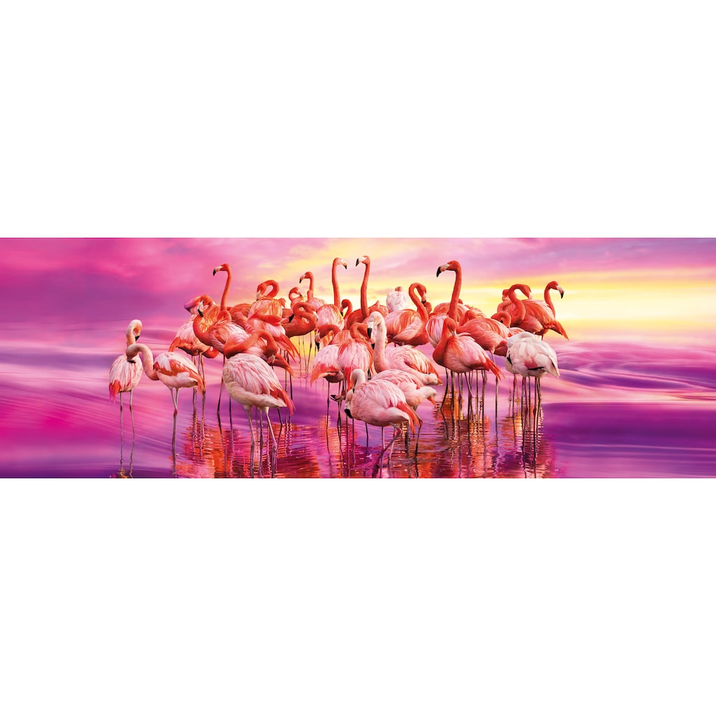 Clementoni® Puzzle »Panorama High Quality Collection, Tanz der Flamingos«