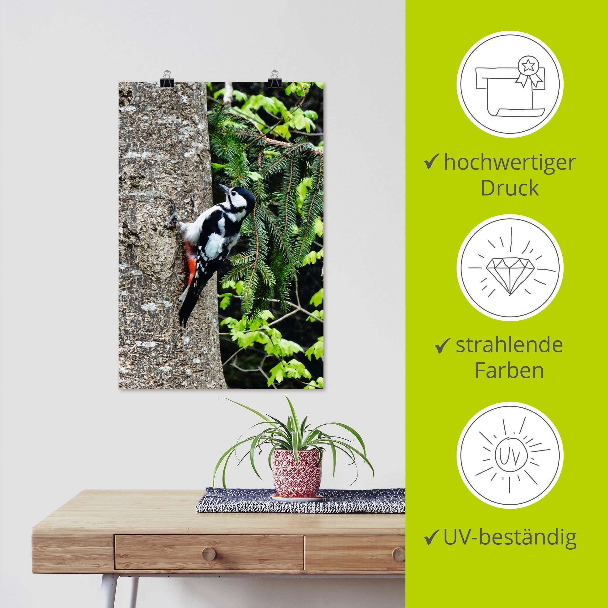 Artland Poster »Buntspecht im Wald« Vögel 1 Stk. tlg. ohne Rahmen