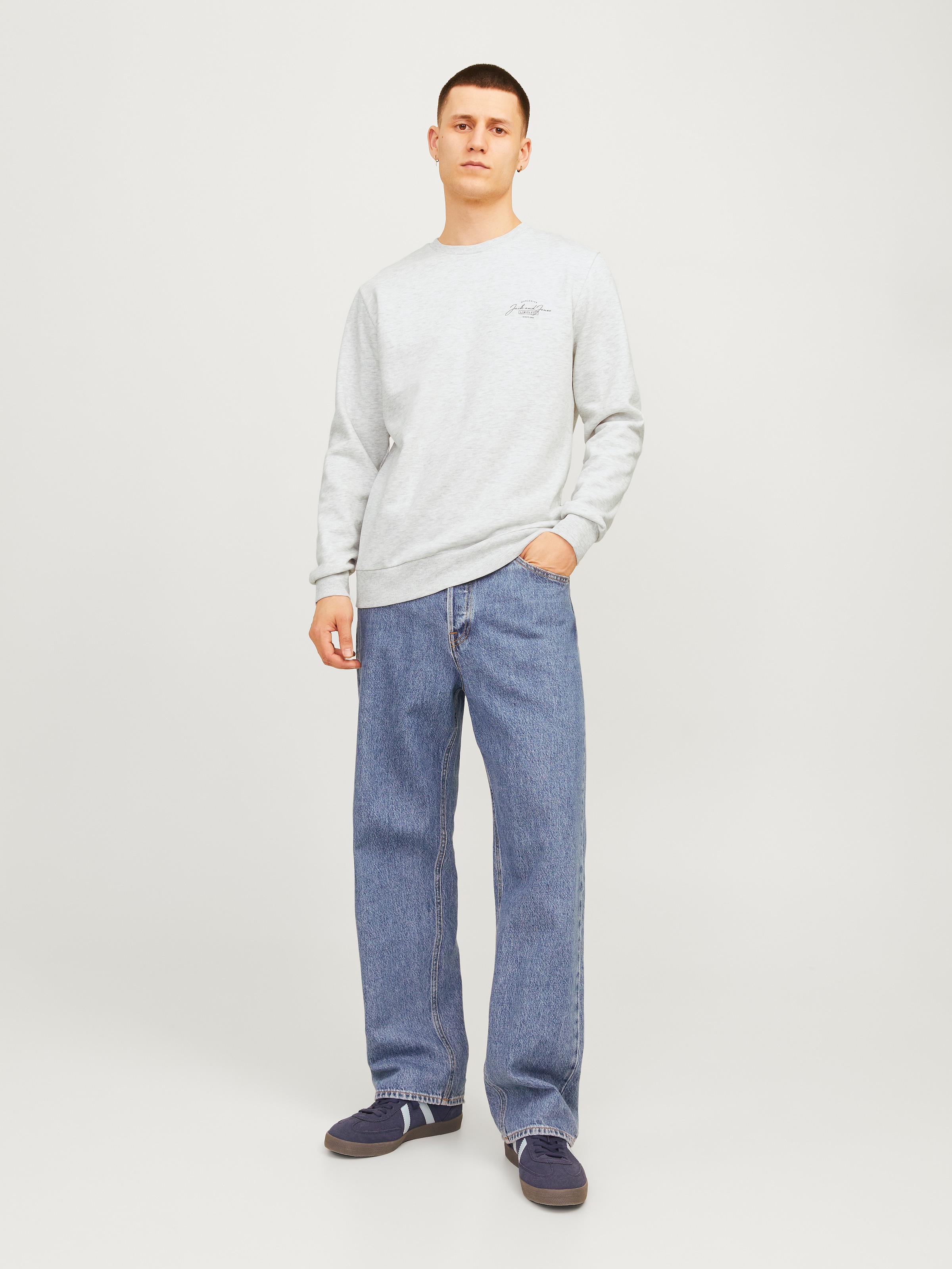 Jack & Jones Sweatshirt »JJFERRIS SWEAT CREW NECK«