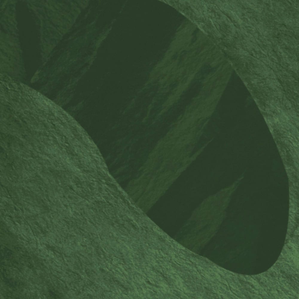 Komar Fototapete »Digitaldruck Vlies - Botanic Harmony - Größe 500 x 250 cm«, bedruckt, Wohnzimmer, Schlafzimmer