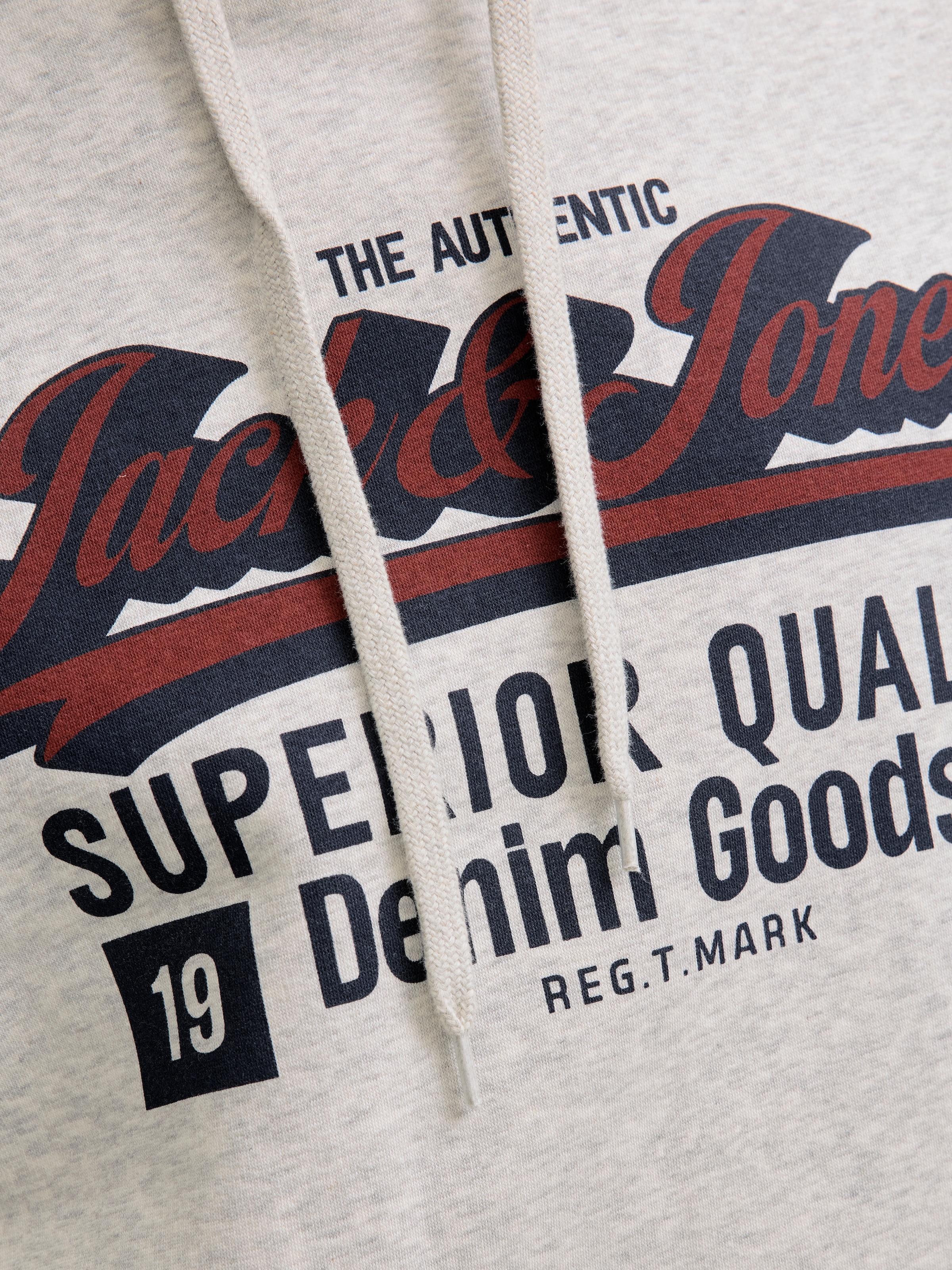 Jack & Jones Kapuzensweatshirt »JJELOGO SWEAT HOOD 2 COL 25/26 NOOS«, mit stylischem Print
