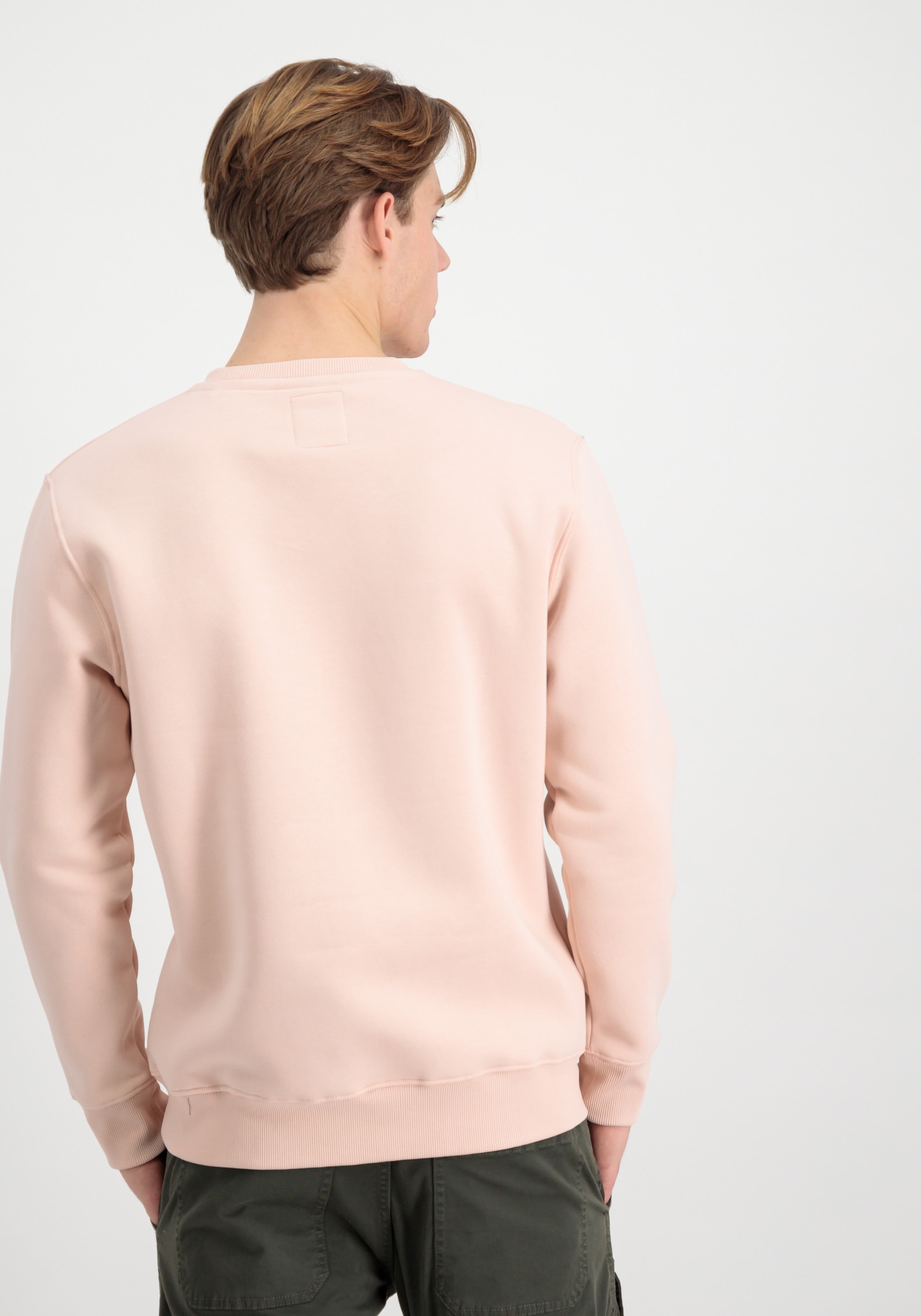 Alpha Industries Sweater »Basic Sweatshirt SL«