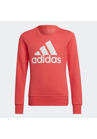 adidas Performance Sweatshirt »BIG LOGO SWEATSHIRT« kaufen
