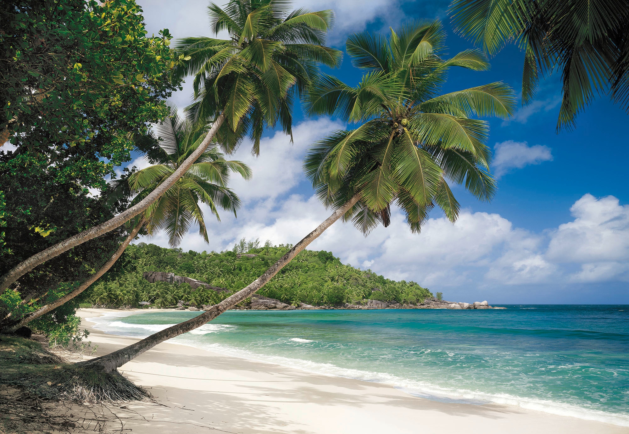 Komar Fototapete »Seychellen«, 368x254 cm OTTO bestellen online (Breite x Höhe) bei