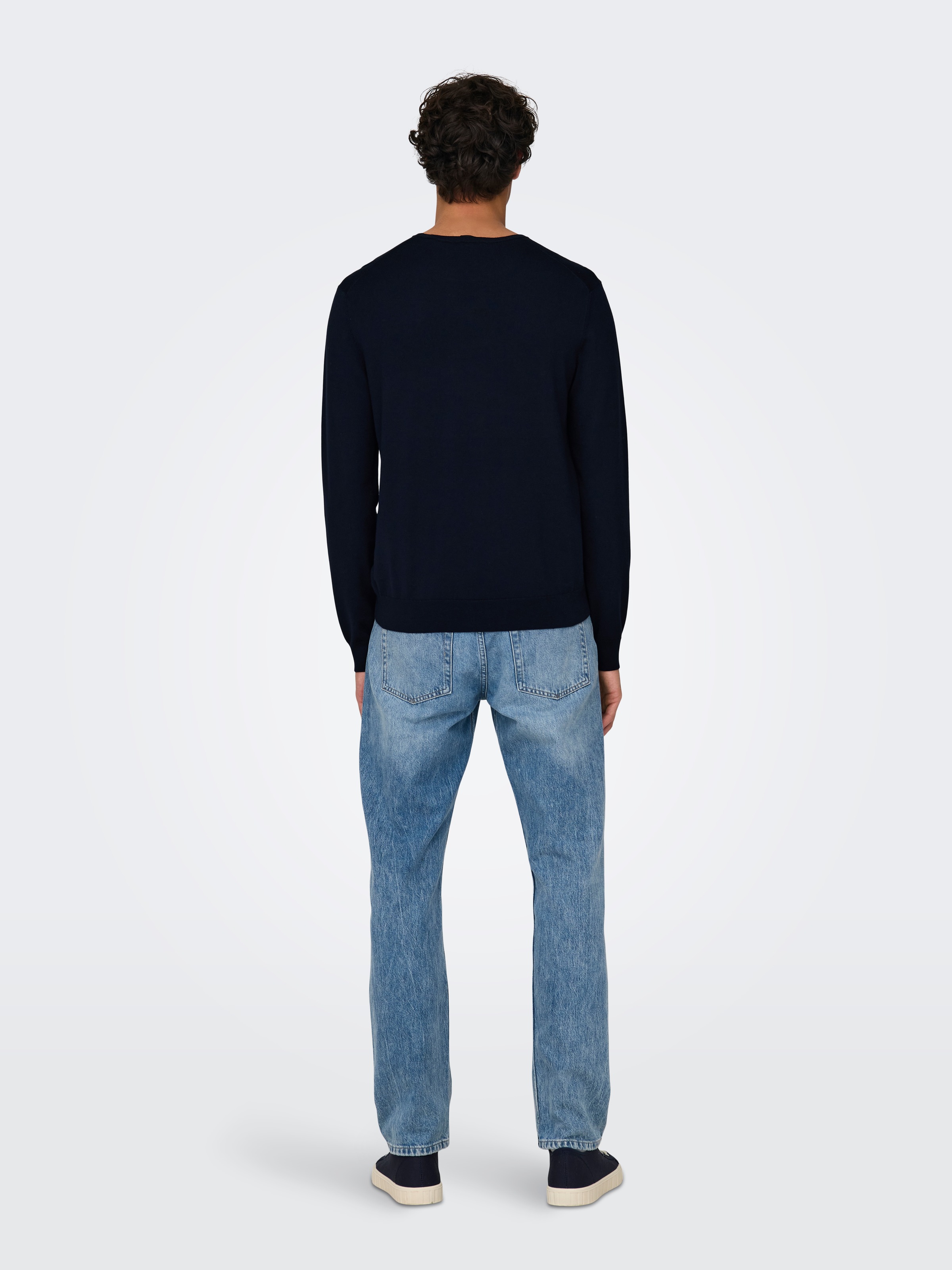 ONLY & SONS Rundhalspullover »WYLER LIFE CREW KNIT«
