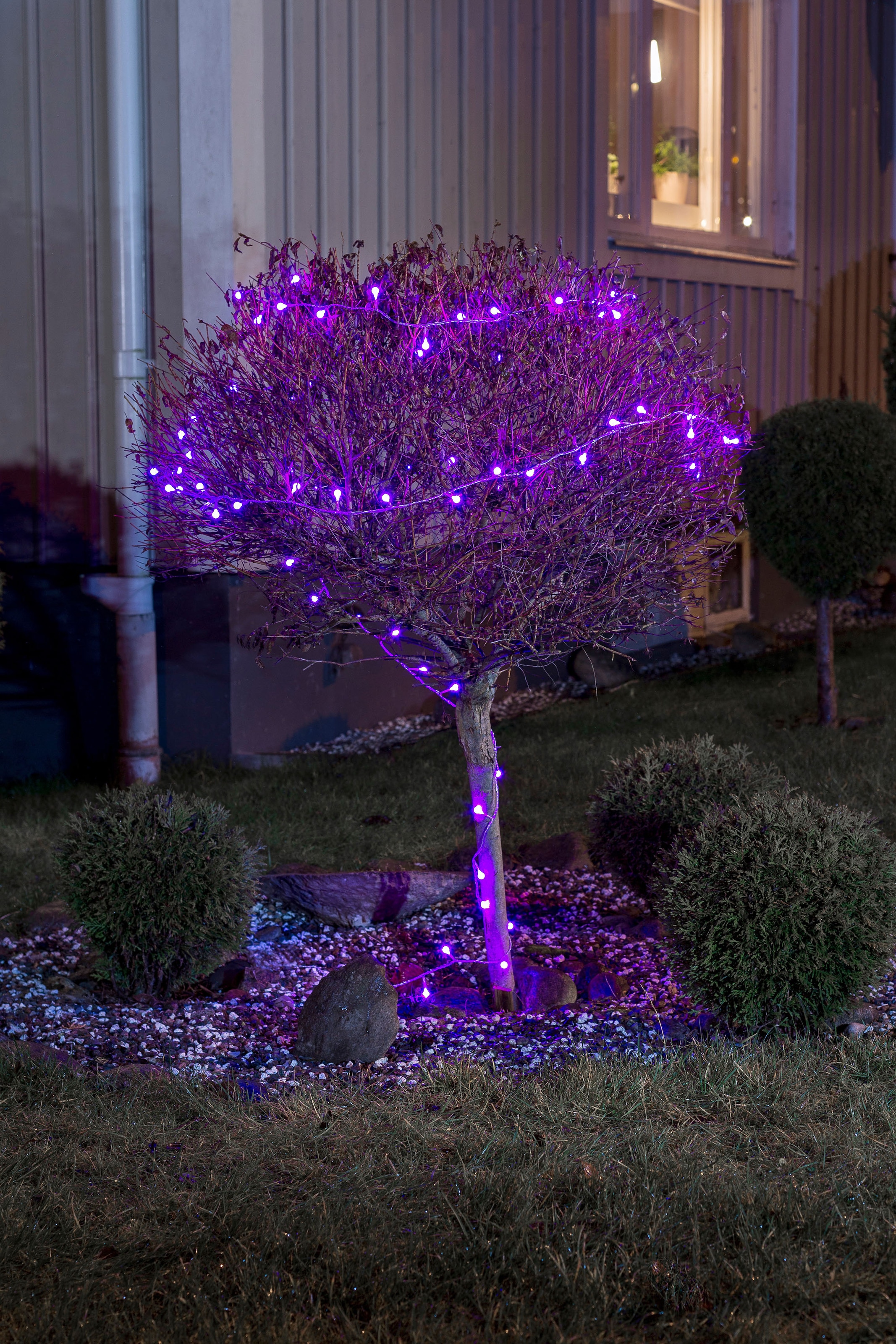 KONSTSMIDE LED-Lichterkette »Weihnachtsdeko aussen«, 80 St.-flammig, LED Globelichterkette, runde Dioden, mit rot/blau Farbwechsel