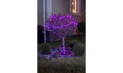 LED-Lichterkette »Weihnachtsdeko aussen«, 80 St.-flammig