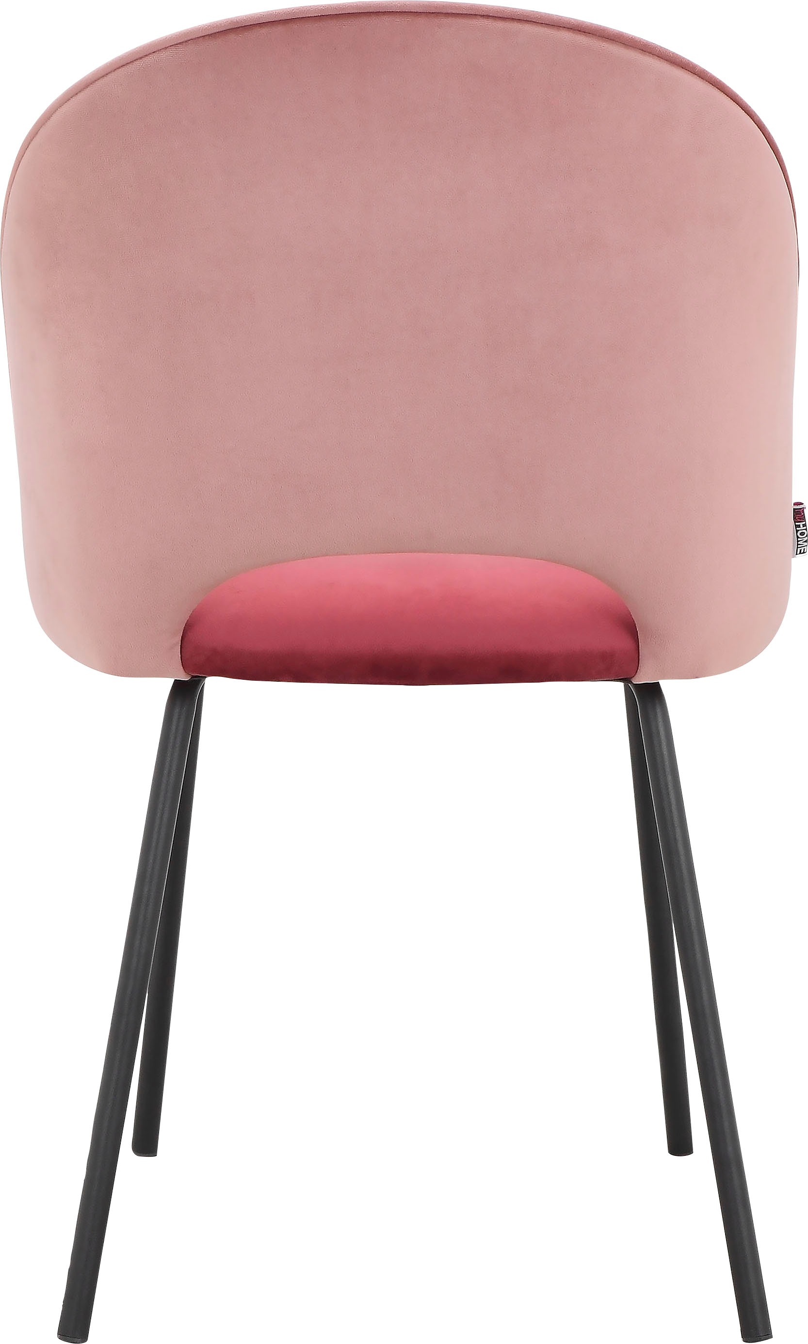 INOSIGN Esszimmerstuhl »Elif«, 2 St., Veloursstoff, im 2er Set erhältlich,  mit Sitz und Rückenlehne, Sitzhöhe 50 cm online kaufen | Stühle