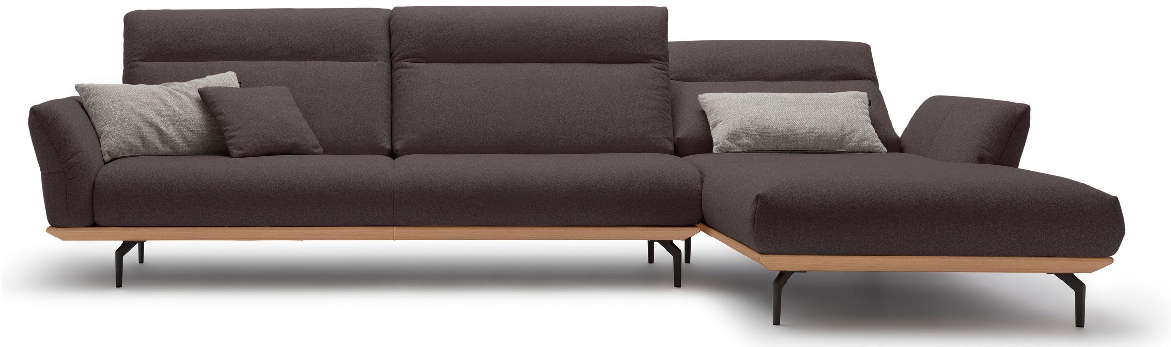 Creation BY ROLF BENZ Ecksofa »CR.460« Sockel in Eiche, Winkelfüße in Umbragrau, Breite 338 cm