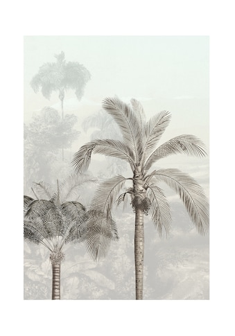 Komar Poster »Jungle Panorama«, (1 St.) kaufen