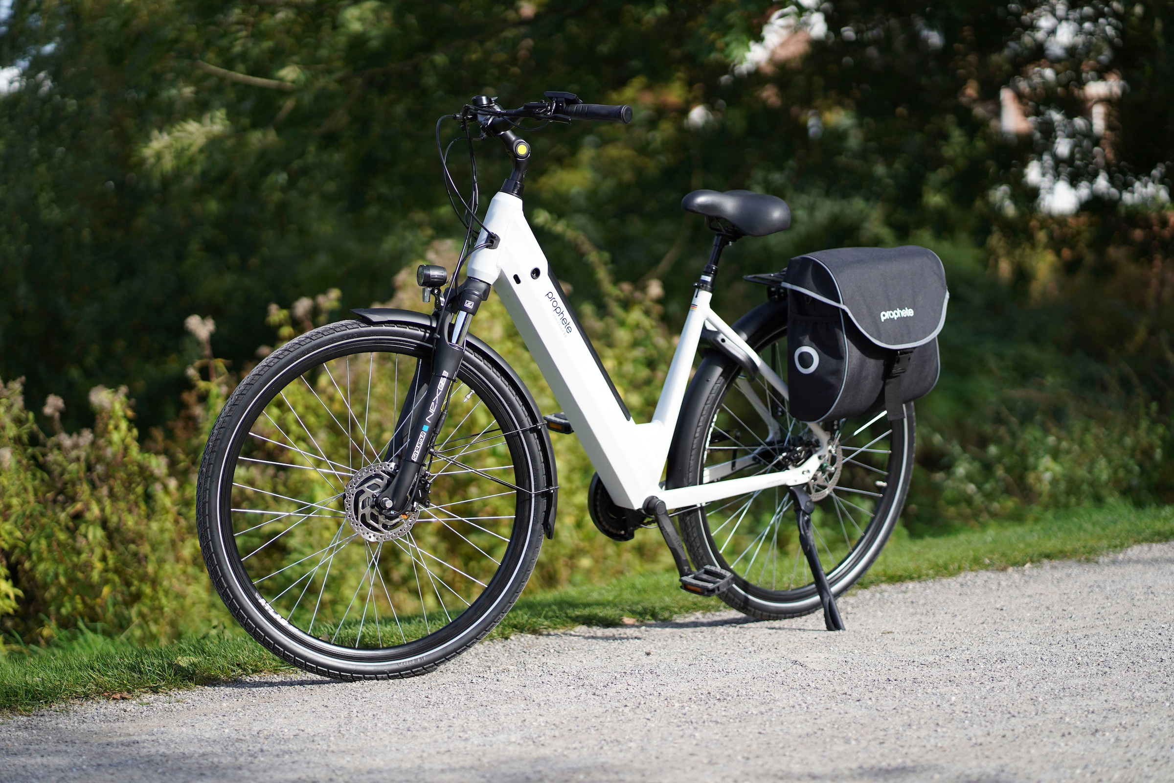 Prophete E-Bike »Geniesser 2.0«, 7 Gang, Shimano, Nexus, Frontmotor 250 W, Pedelec, Elektrofahrrad für Damen, Cityrad, inkl. Rahmenschloss