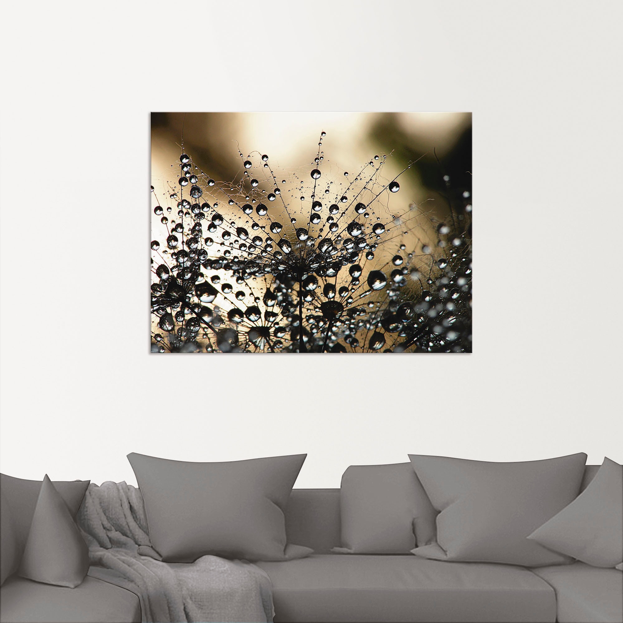 Artland Wandbild »Nasser Löwenzahn« Blumen 1 Stk. tlg. als Alubild, Leinwandbild in verschied. Größen