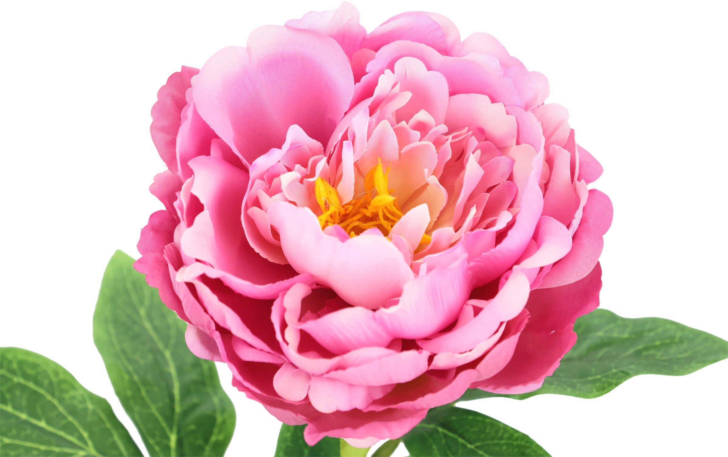 I.GE.A. Kunstblume »Päonie Bauernrose« Pfingstrosen Einzelblume, 3er Set