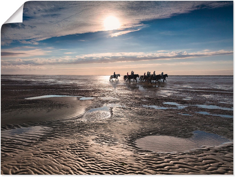 Artland Wandbild »Camargue Pferde galoppieren am Strand«, Haustiere, (1 St.),  als Alubild, Leinwandbild, Wandaufkleber oder Poster in versch. Größen  online bei OTTO