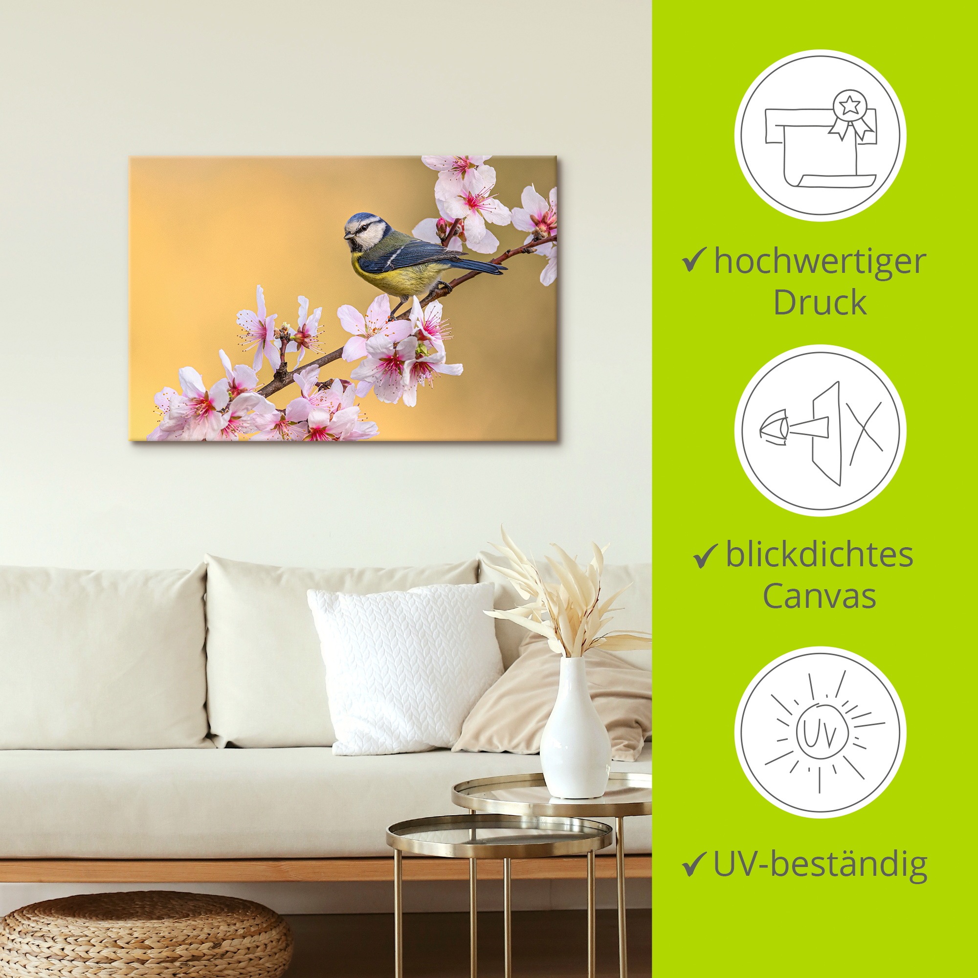 Artland Wandbild »Blaumeise an Mandelblüten« Vogelbilder 1 Stk. tlg. als Alubild, Leinwandbild, Poster, Wandaufkleber in verschied. Größen