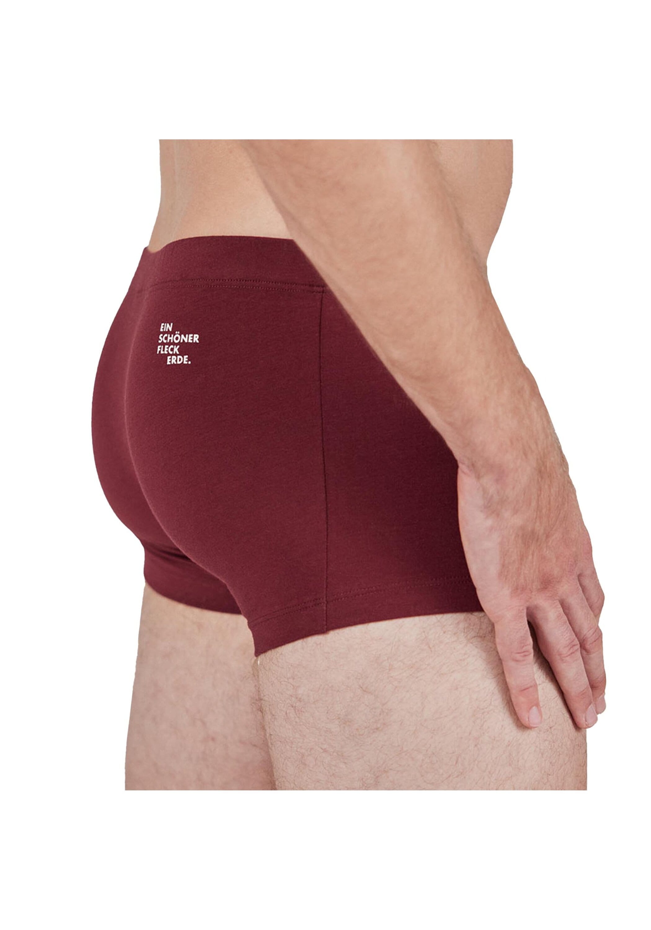 EIN SCHÖNER FLECK ERDE Boxershorts »Boxershort 1er Pack«