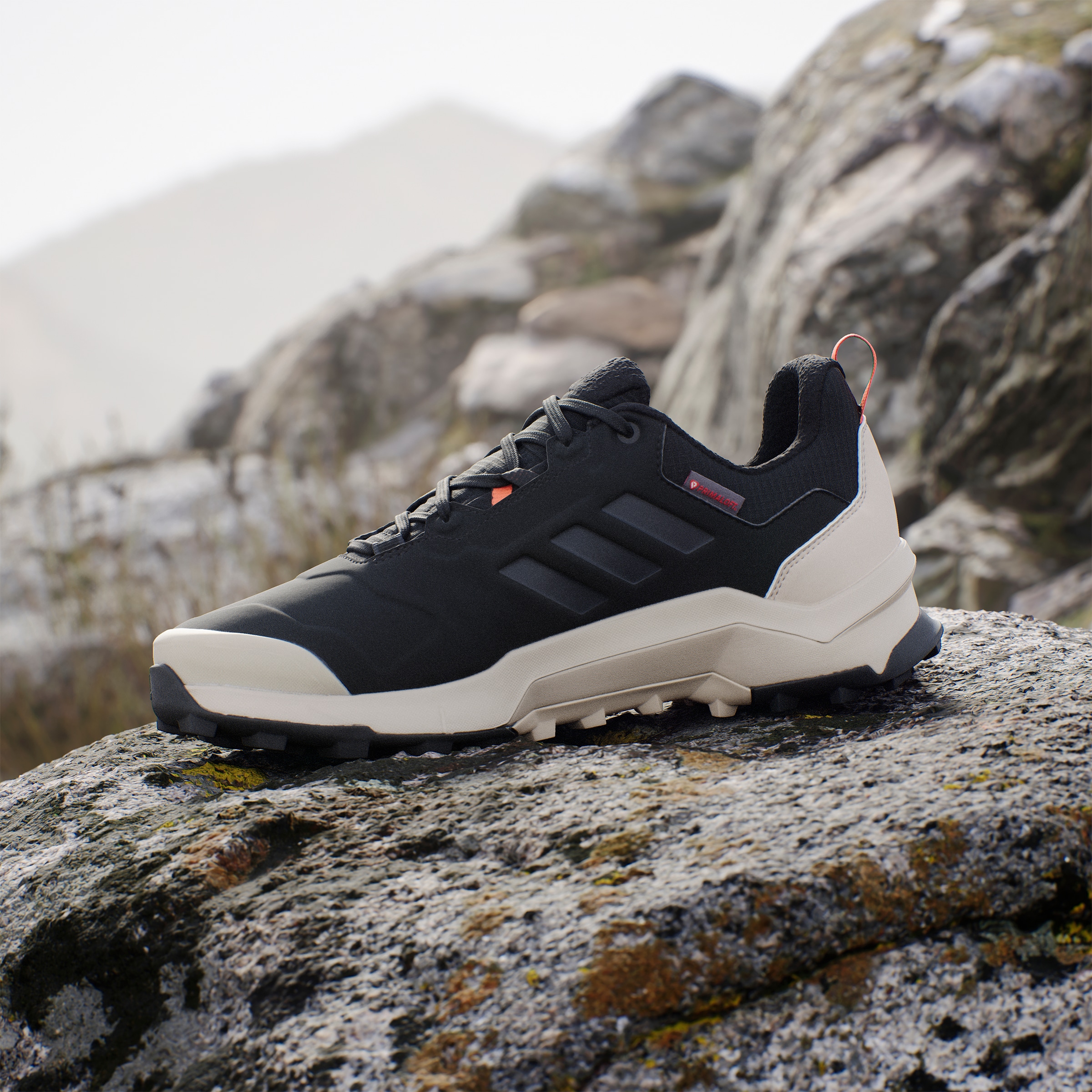 adidas TERREX Wanderschuh »TERREX AX4 BETA COLD.RDY«, wärmend