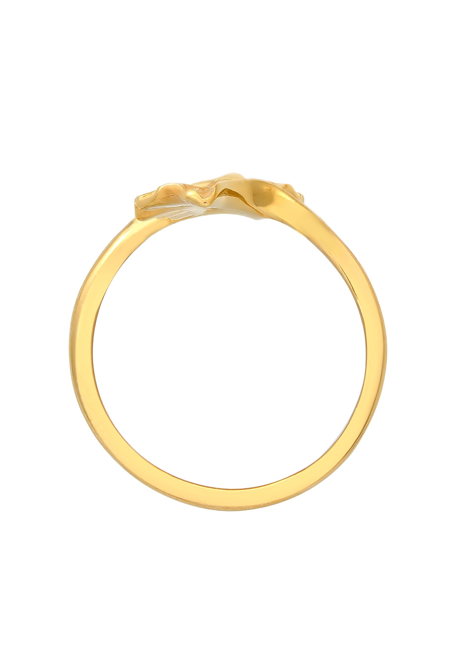 Elli Silberring »Ring Verstellbar offen Ginkgo Blatt Natur 925 Silber«