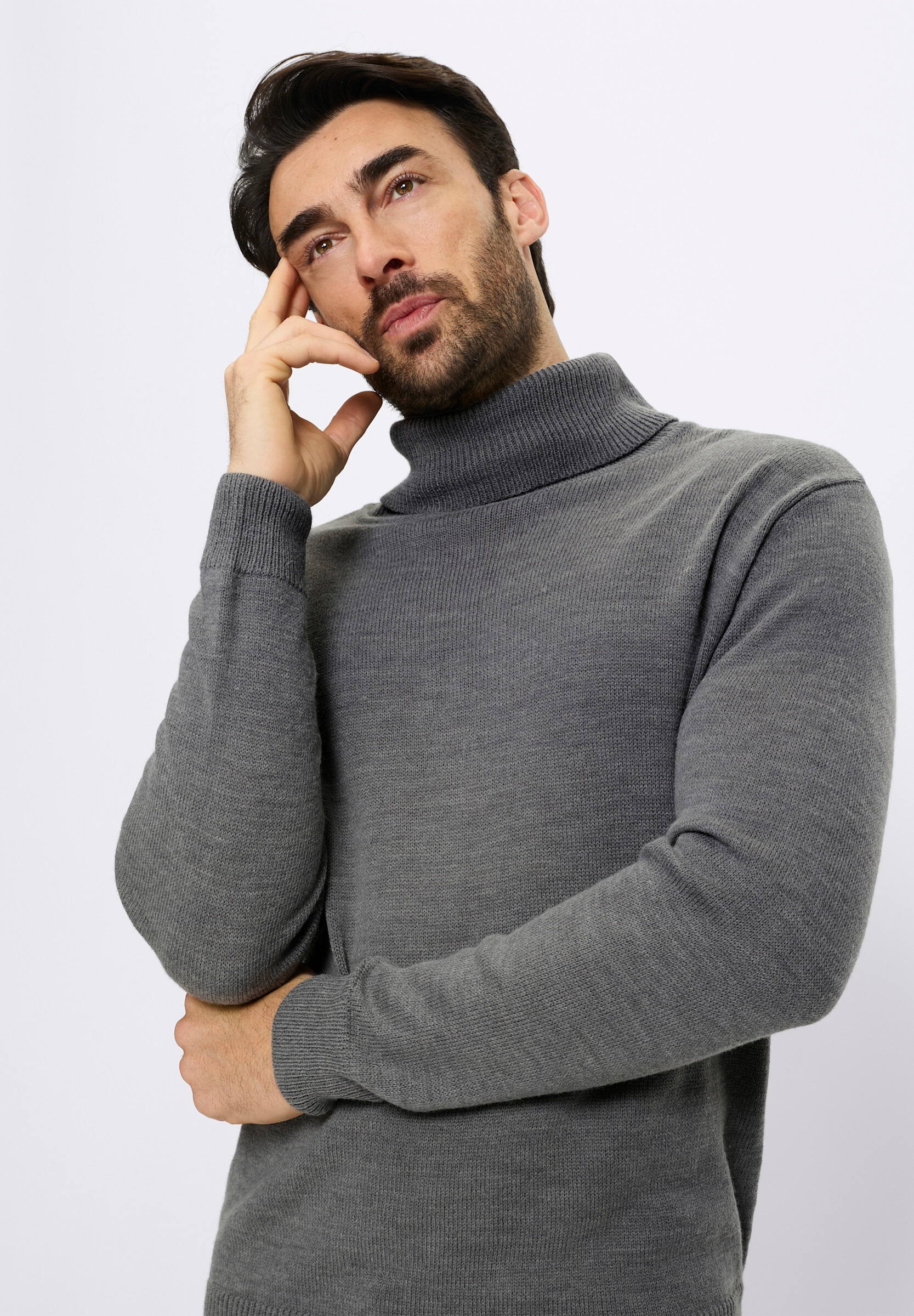 Witt Longpullover »Rollkragenpullover Rollkragenpullover mit Wollanteil«