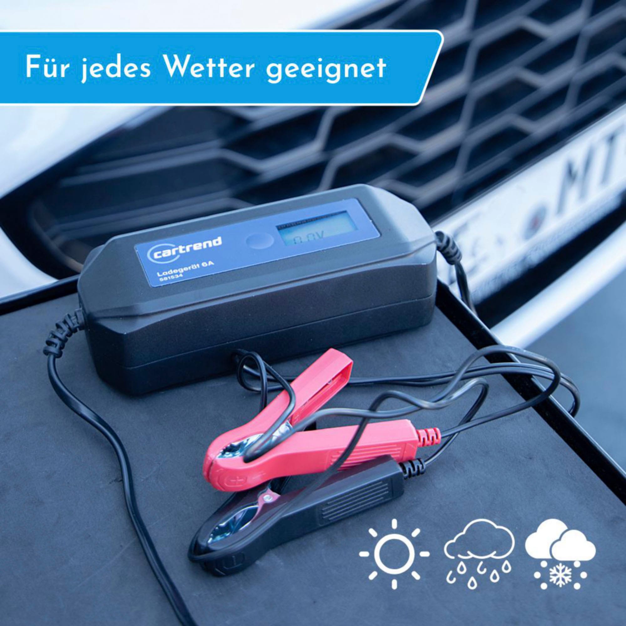 Cartrend Autobatterie-Ladegerät »Batterieladegerät DP6.1 mit Mikroprozessor-Technologie 6V/12V, 6A«