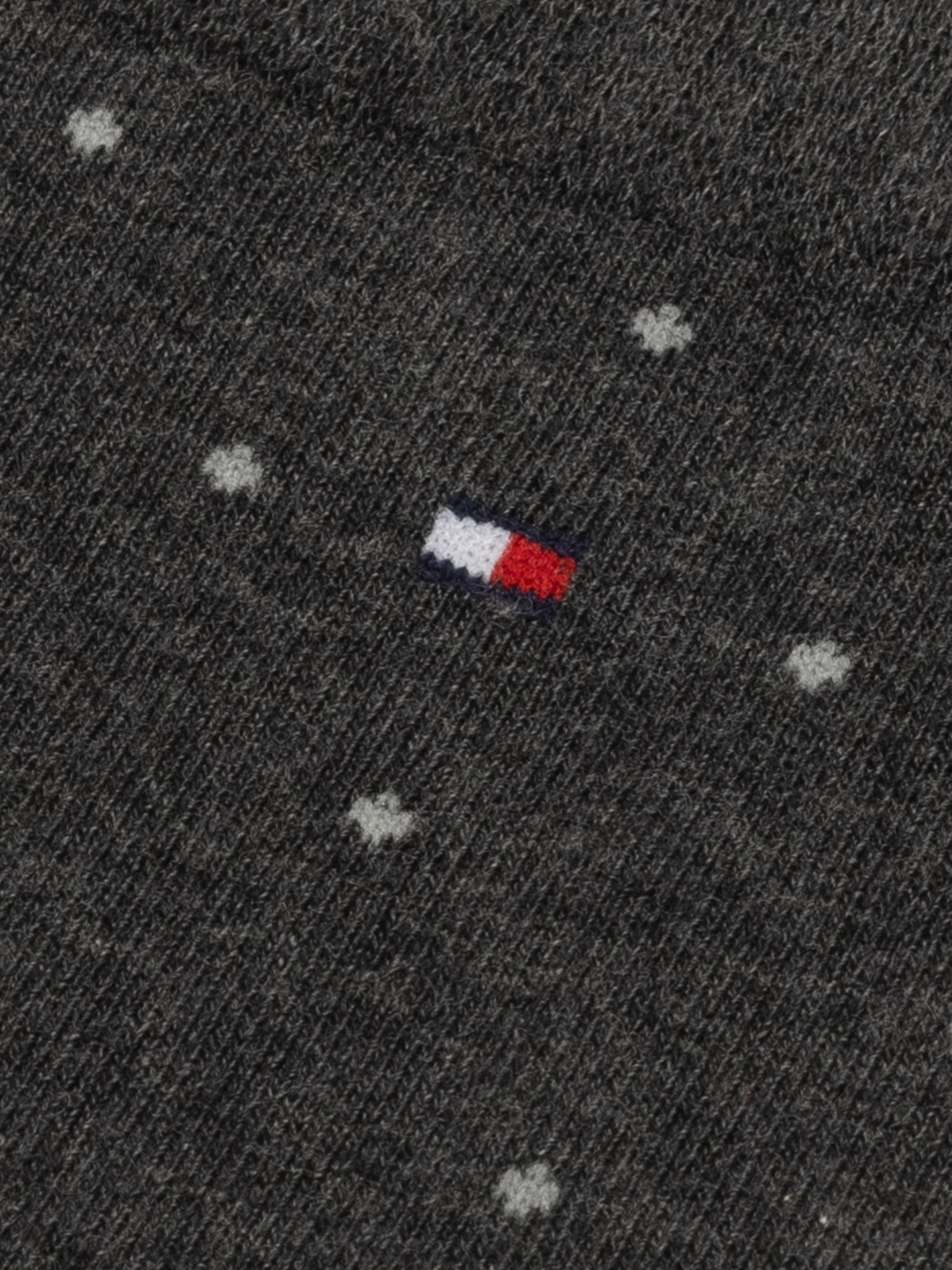 Tommy Hilfiger Socken »TH MEN SOCK 2P DOT«, (2 Paar, 2 Paar), mit klassischer Markenprägung