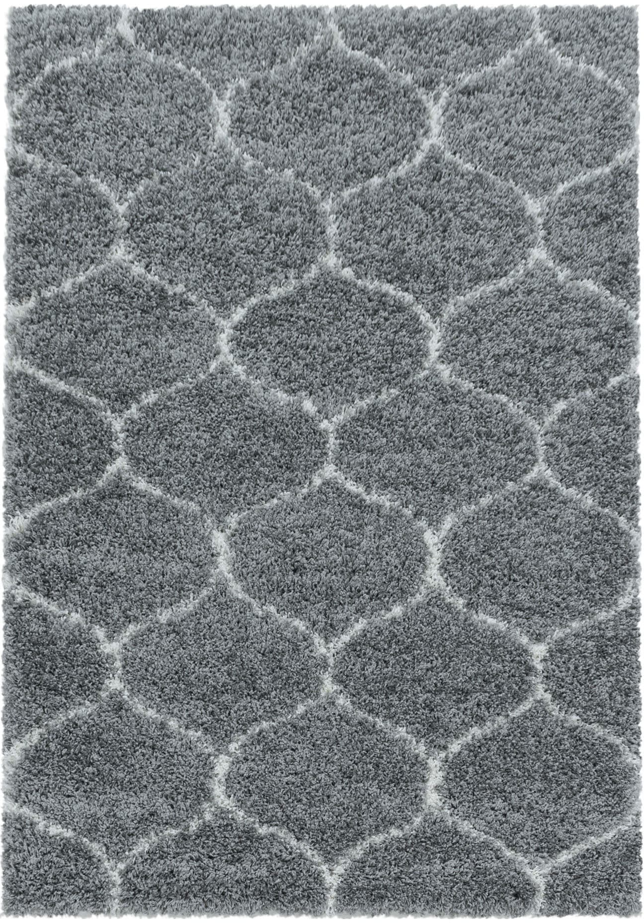 Ayyildiz Teppiche Hochflor-Teppich »SALSA 3201«, rechteckig, 50 mm Höhe, auch in rund, Pflegeleicht / Strapazierfähig / Shaggy/ Wohnzimmer