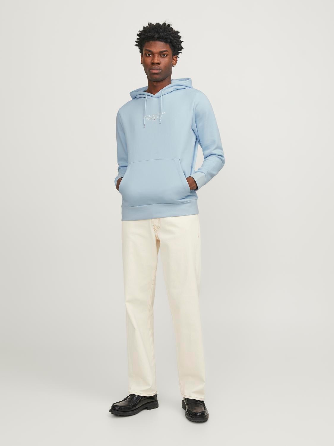 Jack & Jones Kapuzensweatshirt »JPRBLUARCHIE SWEAT HOOD NOOS«