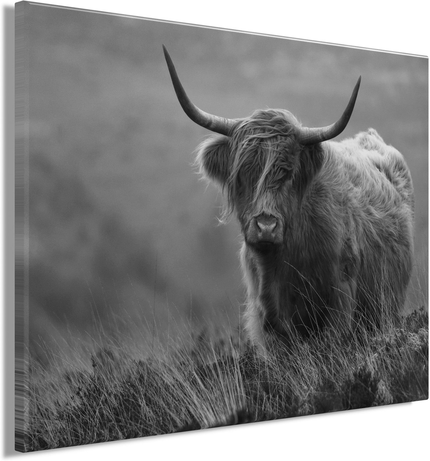 Bönninghoff Bild »HOCHLANDRIND SW 46x61 cm – Leinwandbild Keilrahmen Deko modern«