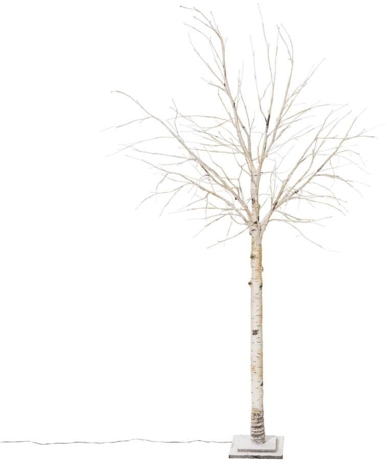 LED-Birke, Höhe Baum 200 LED 132 flammig-flammig, cm, Schneider bei »Crema«, OTTO Weihnachtsdeko