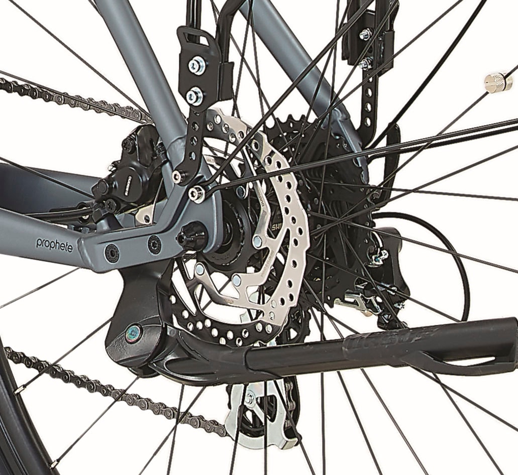 Prophete E-Bike »Entdecker 3.8«, 8 Gang, Shimano, Altus, Mittelmotor 250 W