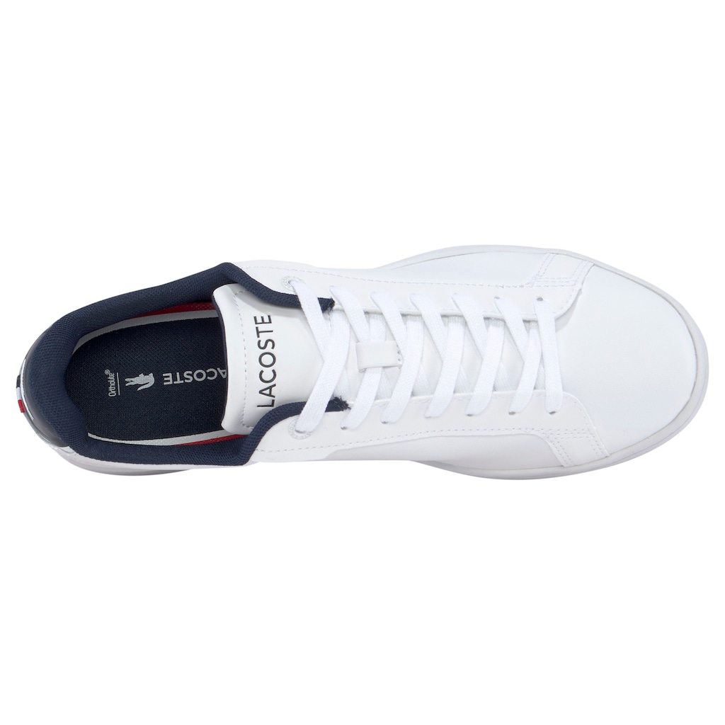 Lacoste Sneaker »CARNABY PRO TRI 123 1 SMA«