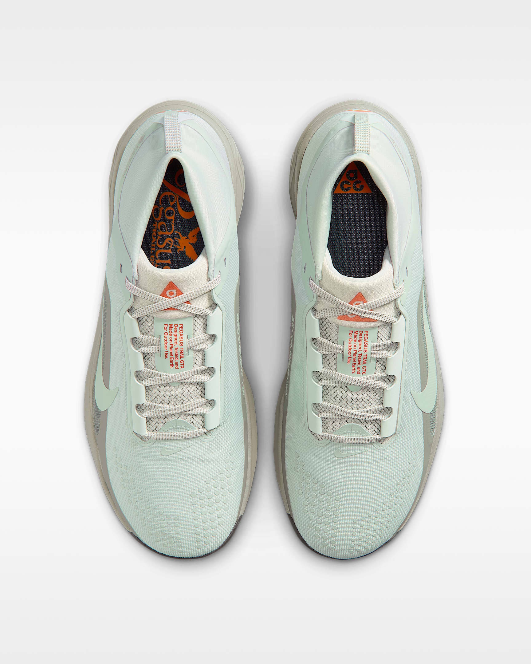 Nike Trailrunningschuh »Nike ACG Pegasus Trail GORE-TEX«  wasserdicht