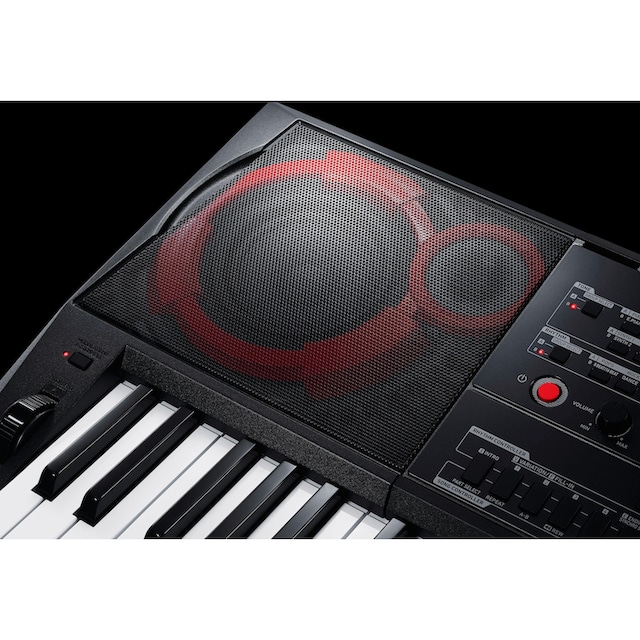 CASIO Keyboard »CT-X5000«, (Set), inklusive Keyboardstativ online bei OTTO