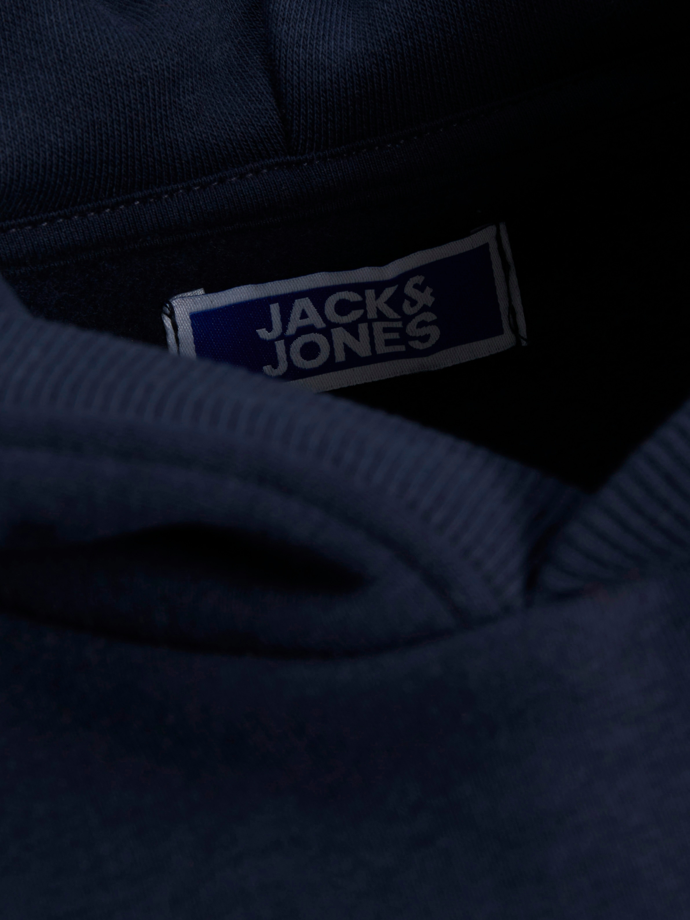 Jack & Jones Junior Kapuzensweatshirt »JORVESTERBRO NEWTON BRNDG SWEAT BF JNR«