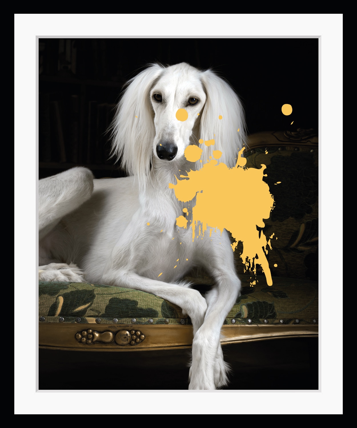 queence Bild »Pudel mit Farbklecks«, Hunde-Hund-Hundebilder-Haustiere, HD Premium Poster-Druck inkl. Holzrahmen