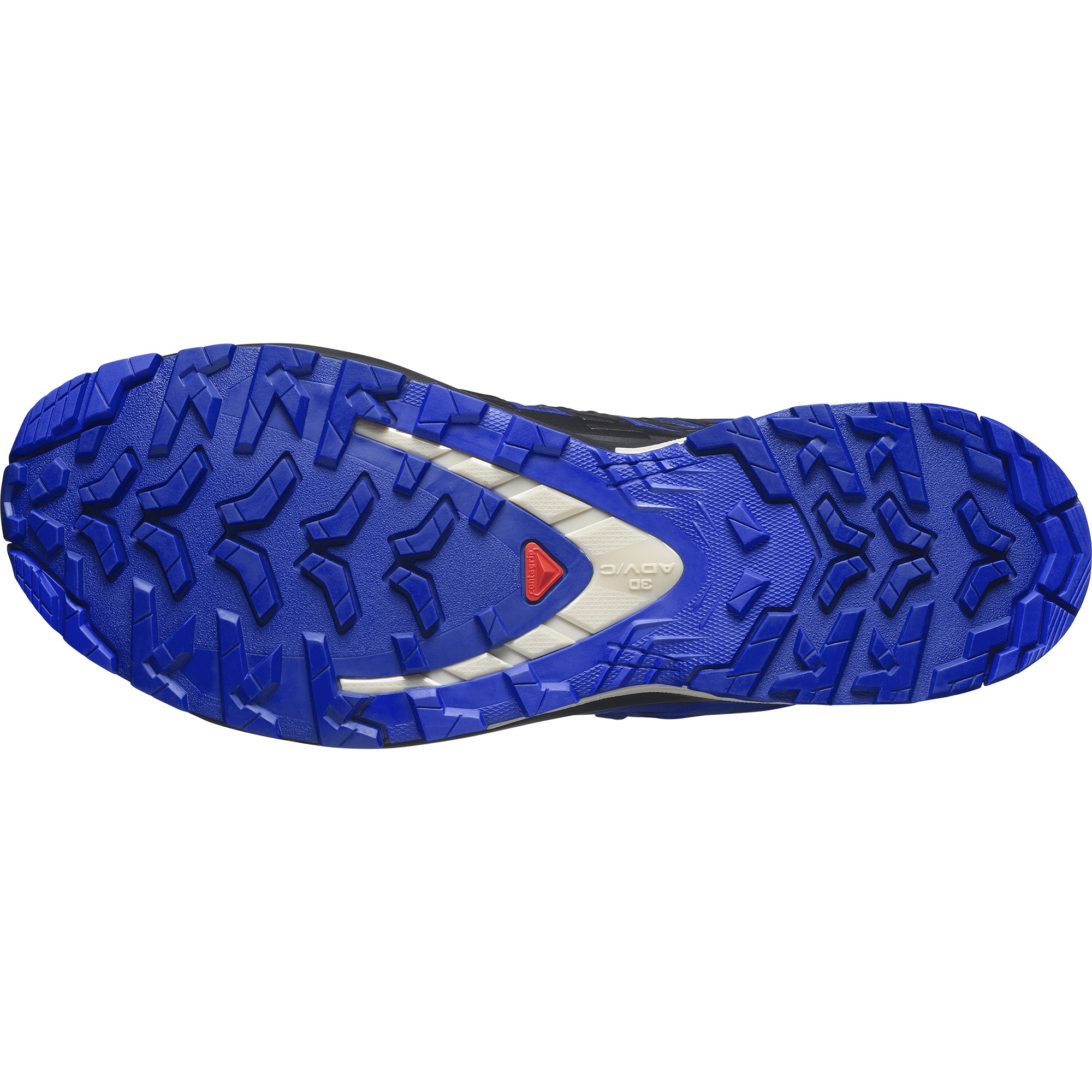 Salomon Trailrunningschuh »XA PRO 3D V9 GORE-TEX«, wasserdicht