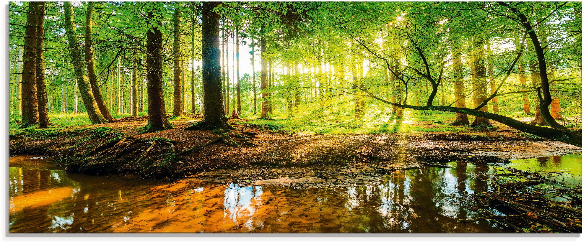 Artland Glasbild »Wald mit Bach«, Wald, (1 St.), in verschiedenen Größen